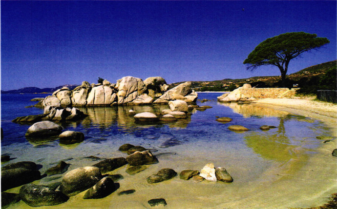 corse 201826092018122820--